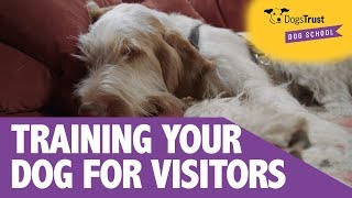 How To Train Your Dog For Visitors | Dogs Trust Dog School