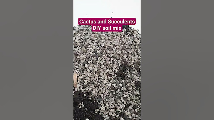 Best DIY Soil Mix for Cactus & Succulents 🌵💧 No More Root Rot!