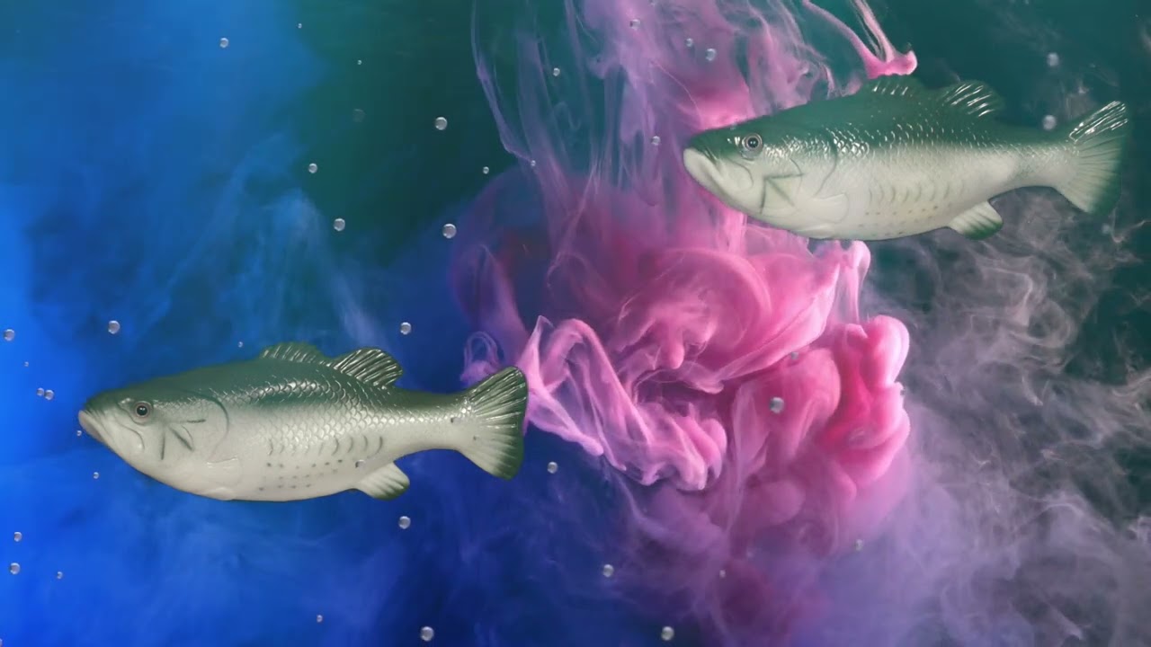 Not Punny (Puns and Jokes) - Season 2 Number 123 Paint