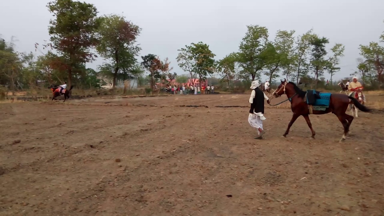 Horse racing bihar - YouTube