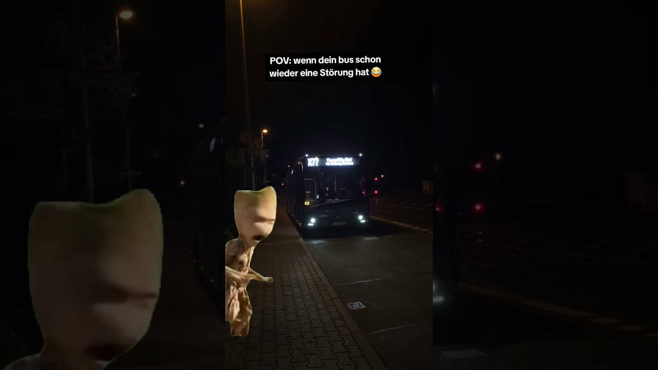 Wenn dein bus schon wieder eine Störung hat 😂 