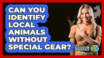 Can You Identify Local Animals Without Special Gear? - Ecosystem Essentials
