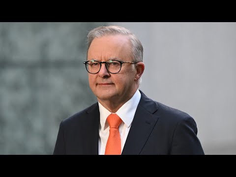 Albanese government ‘afraid’ of what a Royal Commission will uncover
