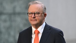 Albanese government ‘afraid’ of what a Royal Commission will uncover