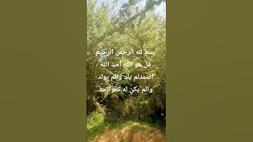 #funny #egzonibrahimi #quran #alikhlash #اكسبلور #الرحمن #اسلام_صبحي #لايك #المصحف #دويتو #القارئ