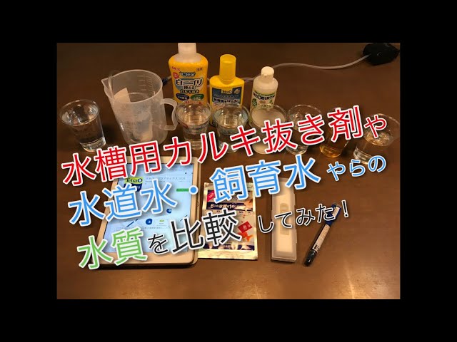 水槽用カルキ抜き剤や水道水・飼育水やらの水質を比較してみた