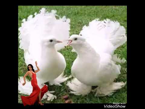 Milne Se Darta Hai Dil Iqrar Ho Na Jaye Full Video Song