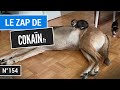 Le Zap de Cokaïn.fr n°154