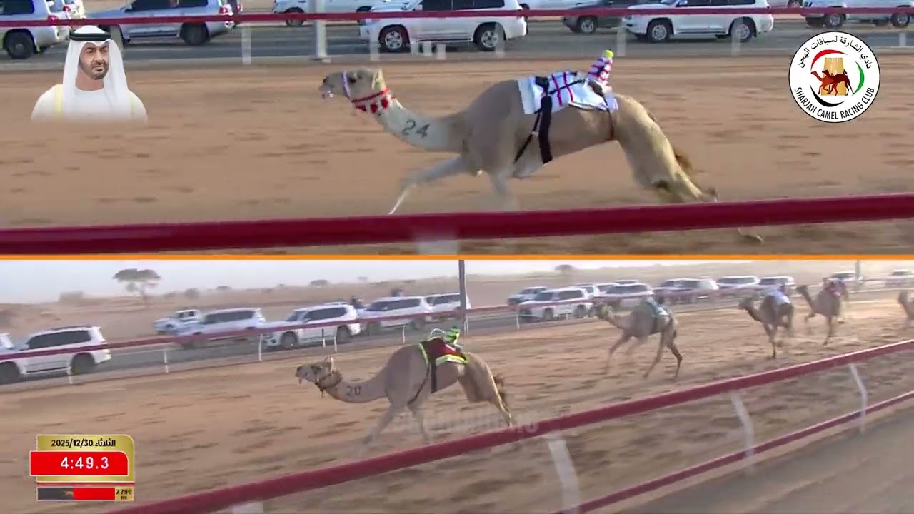 ميــدان الذيد - ش 4 الحول والزمول 30/12/2025 رساله ل مانع علي بن حماد الشامسي.  التوقيت: 9.15.19