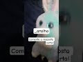 #legal #funny #brainrot #roblox #caminhão #coelho #naoflopa