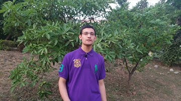 Endless Potentials of Machine Learning in Combating COVID 19 || Breakthrough Junior Challenge 2020