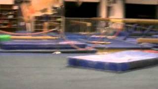 Simone Freidman 2010 level 10