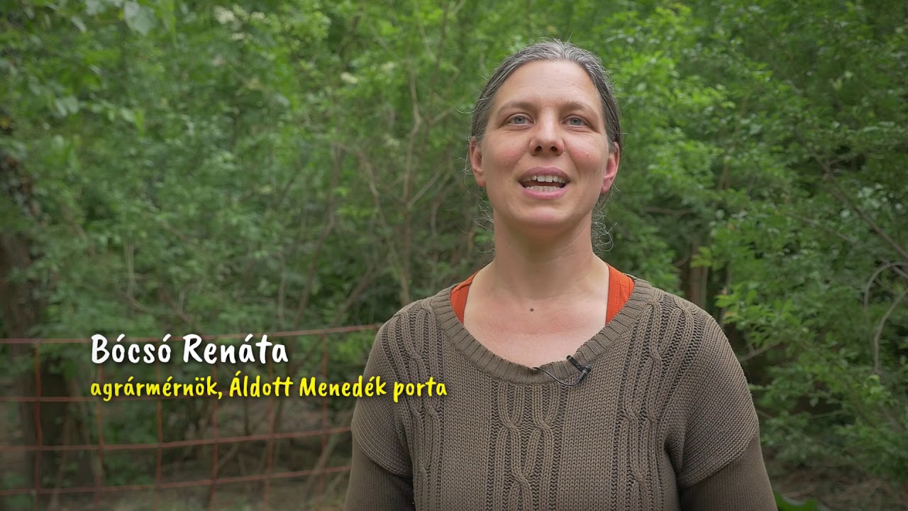 Falusi Fortélyok Iskolája - A siker titka vidéken