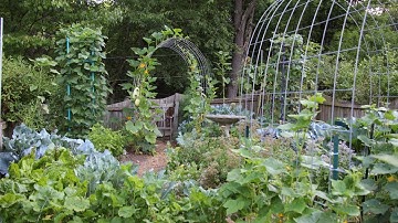 Cattle Panel Trellis DIY