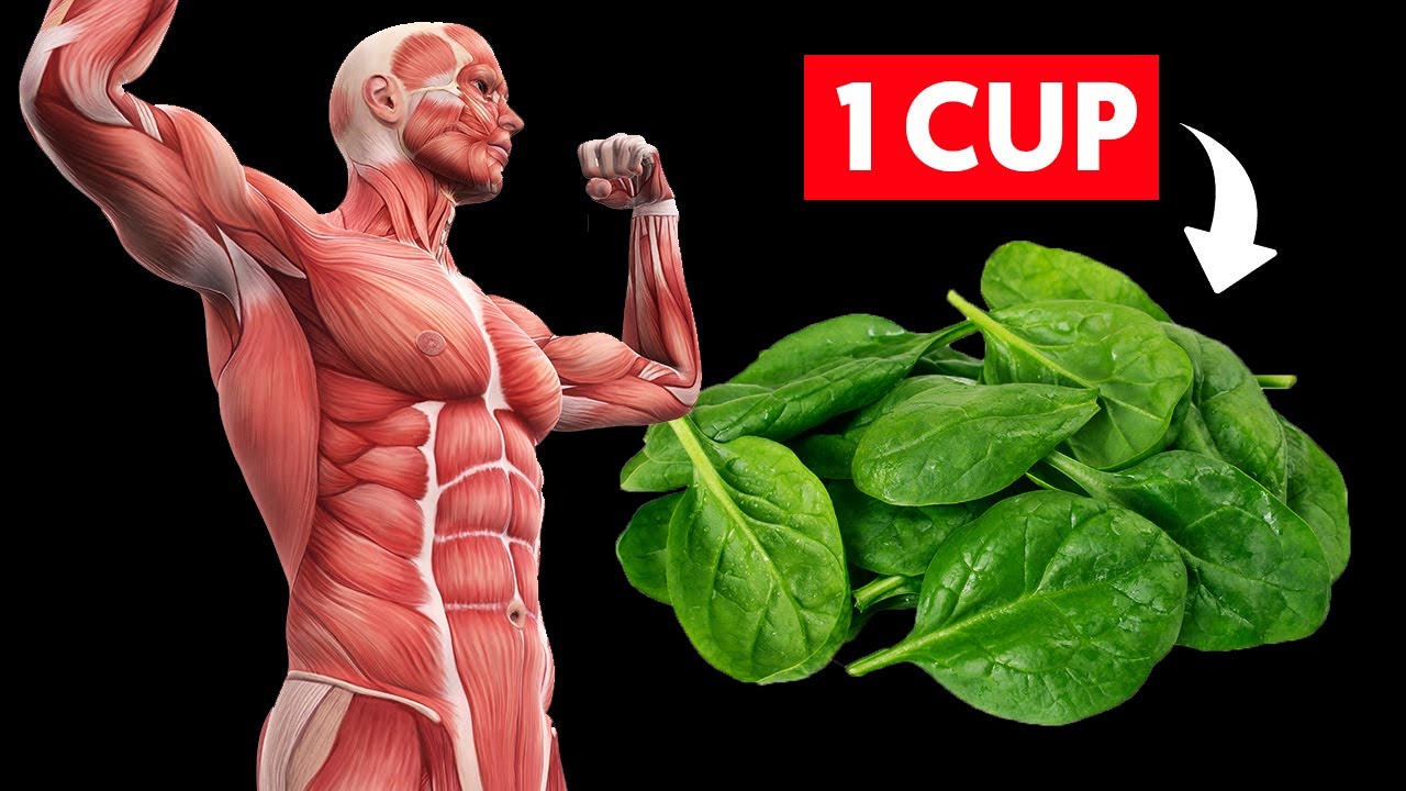 Eat 1 Cup Of Spinach Every Day, See What Happens To Your Body