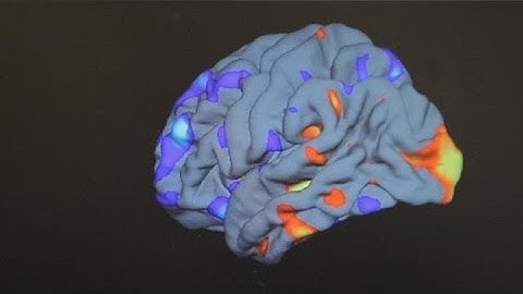 Developing a treatment for autism - science