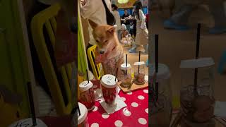 My Date . Xian China .