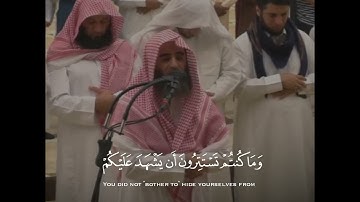 ﴿وَقَالُوا لِجُلُودِهِمْ لِمَ شَهِدتُّمْ عَلَيْنَا ۖ﴾ تلاوة من سورة فصلت القارئ #محمد_اللحيدان