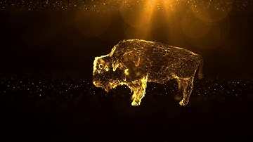 Trapcode||particular||form||optical|| flares||after effects plugin