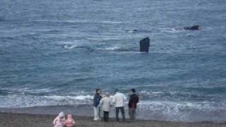 Ballenas en Playa las Canteras - Doradillo - Madryn