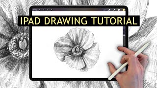 IPAD DRAWING TUTORIAL - Poppy flower drawing techniques screenshot 1