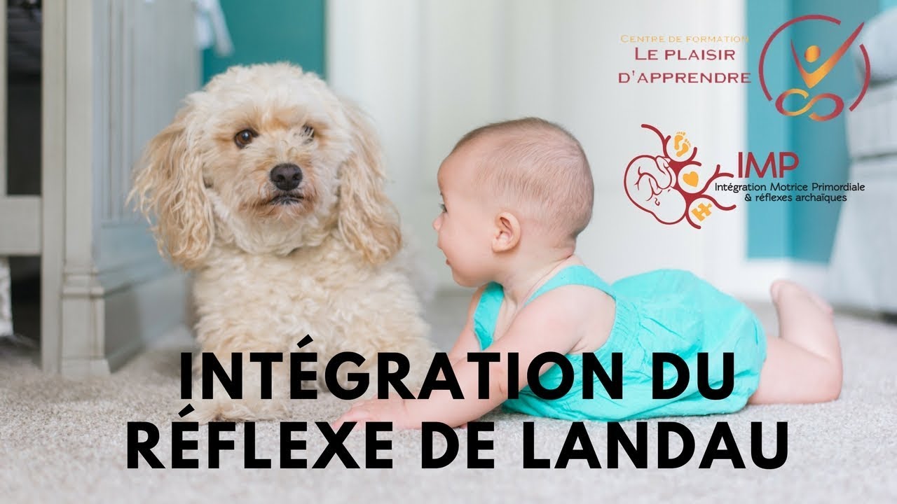 Réflexe de Landau et petit pectoral