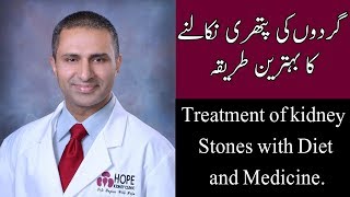 Dr. Shafiq Cheema Explains How to Treat Kidney Stones with Diet and Medicine