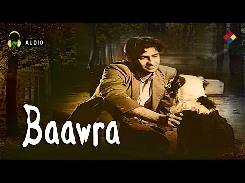 Is Dil Ka Bangla Khali Hai Lyrics in Hindi from Banwra 1 Is Dil Ka Bangla Khali Hai Lyrics in Hindi Banwra
