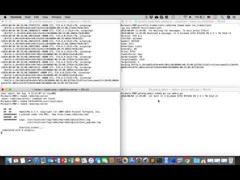 QuickFix Executor/Tradeclient with RabbitMQ and Wireshark