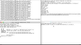 QuickFix Executor/Tradeclient with RabbitMQ and Wireshark
