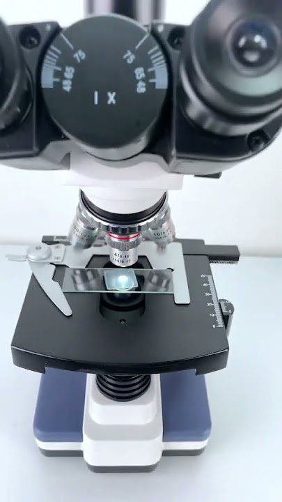 'Yakult magnified 400X is seriously so cool!'#underthemicroscope