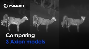 Pulsar Axion 2 XQ35, Axion 2 XG35 and Axion XM30F | Comparison / Review