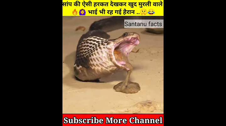 सांप की ऐसी हरकत देखकर खुद मुरली वाले 🙆 भाई भी रह गई हैरान ..🤫😂 #Shorts #YouTubeshorts #Santanufacts