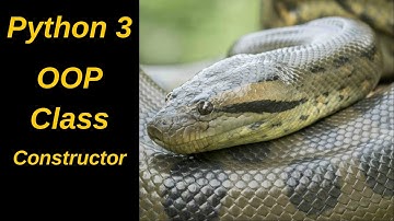 Python 3 | Programación Orientada a Objetos | Clases Constructor
