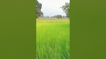 MY FIRST VLOG ❤ || MY FIRST VIDEO ON YOUTUBE  || bablu banna vlog