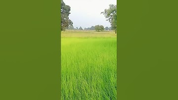 MY FIRST VLOG ❤ || MY FIRST VIDEO ON YOUTUBE  || bablu banna vlog