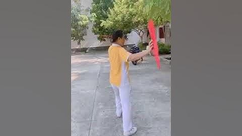 BÀI HƯỚNG DẪN THÁI CỰC SONG QUẠT 48 THỨC PHẦN 2 - TỪ ĐT 40 ĐẾN HẾT BÀI