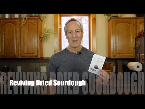 Dry Sourdough Starter Activation 