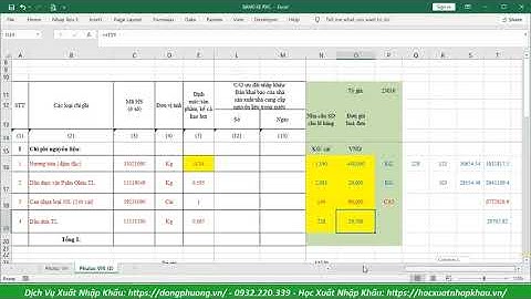 Hướng Dẫn Lập Bảng Kê Khai Hàng Hóa Xuất Khẩu Đạt Tiêu Chí RVC