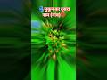सुकून का दूसरा नाम गांव ❤️ #trending #gaon #bhojpuri #trendingshort #sukun