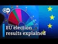 Analysis: Key takeaways from the EU election results | DW News