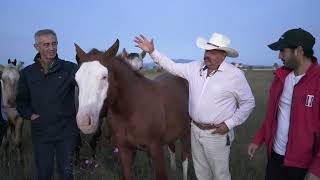 Visitando a la familia Basurto en rancho nuevo y show en Polotitlan!! 😃👊🏻👌🏻🐴🇲🇽