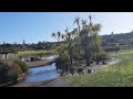 My daily walks in Auckland NZ