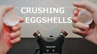【ASMR】CRUSHING EGGSHELLS (no talking)