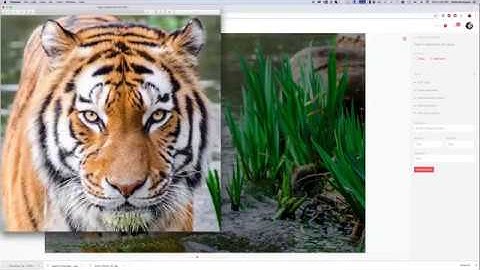 Collaboration with Evolphin Web Client