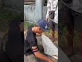 HARJOKUNCARAN📞H_MEPET GASPOL NDANGAK2