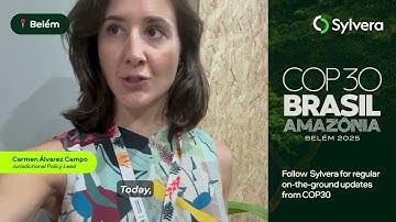 Sylvera COP30 | Day 1 : Article 6.2 Takes Center Stage in Ambition Dialogue