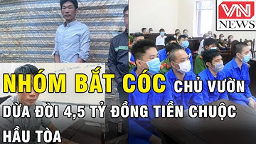 Nhóm bắt cóc "chủ vườn dừa đòi 4,5 tỷ đồng tiền chuộc: Cái kết phải hầu tòa