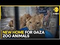 Israel war: Gaza zoo animals evacuated amid war | World News | WION