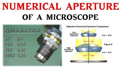 Numerical aperture of a microscope